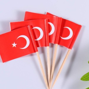 Türk Bayraklı Kürdan 10 Adet 6.5cm 