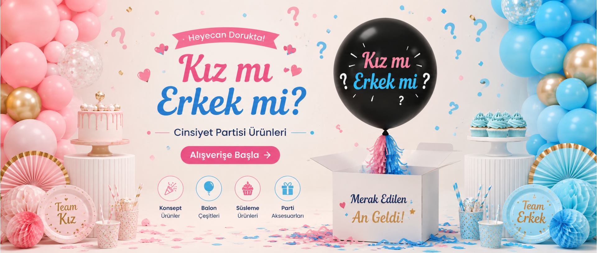 Cinsiyet partisi