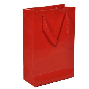 Karton Çanta Kırmızı Renk 12x17 cm 